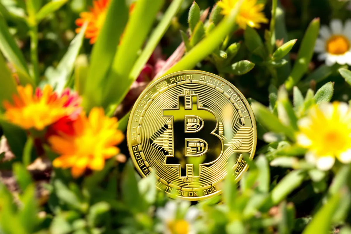 Ökologischer Einfluss des Bitcoin-Minings